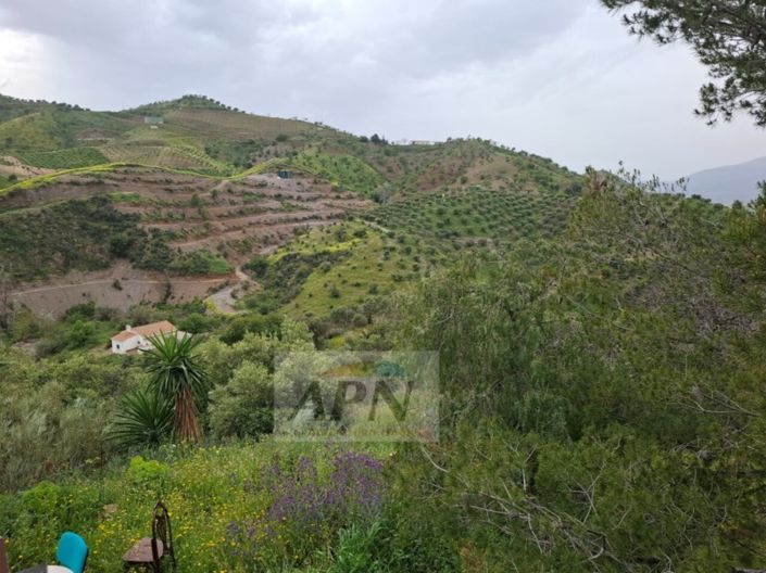 Image No.23-3 Bed Country House for sale