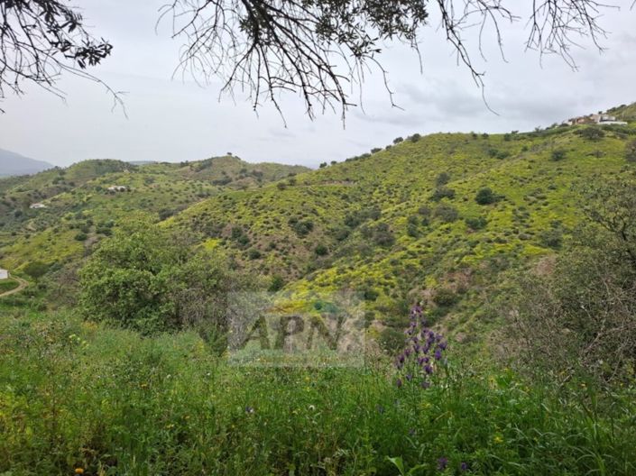 Image No.25-3 Bed Country House for sale