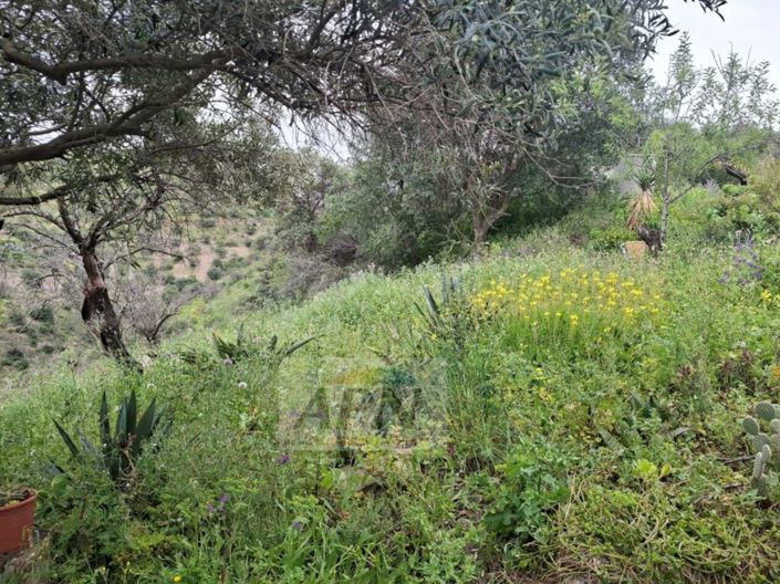 Image No.28-3 Bed Country House for sale