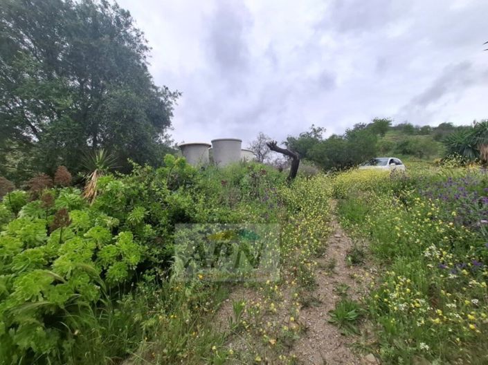 Image No.29-3 Bed Country House for sale