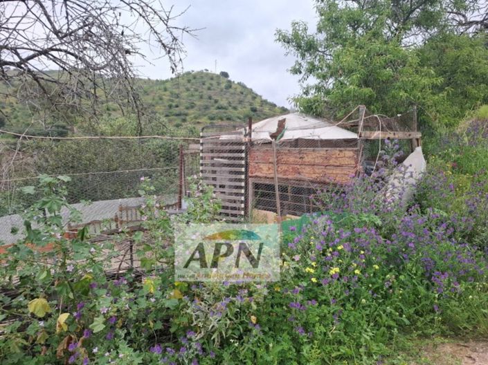 Image No.30-3 Bed Country House for sale