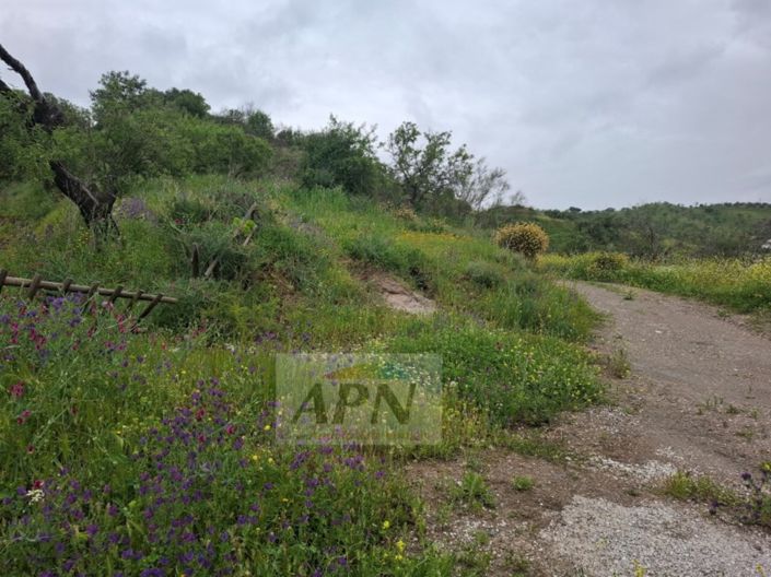 Image No.31-3 Bed Country House for sale