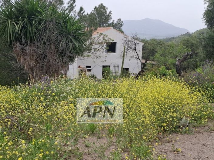 Image No.32-3 Bed Country House for sale