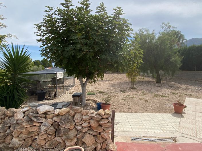 Image No.6-5 Bed Villa for sale