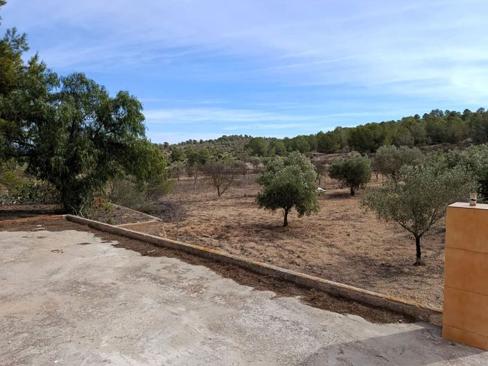 Image No.6-3 Bed Country House for sale