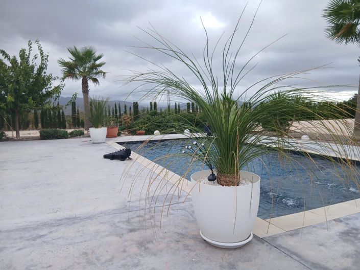 Image No.3-5 Bed Villa for sale