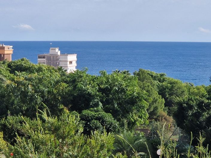 Image No.10-Appartement de 1 chambre à vendre à Benidorm