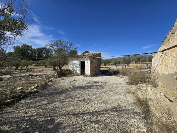 Image No.6-7 Bed Country House for sale