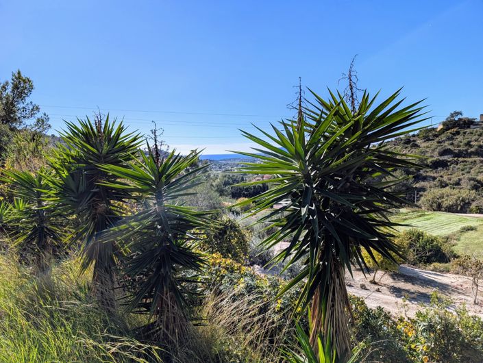 Image No.38-3 Bed Villa for sale