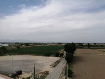 3325-for-sale-in-daya-vieja-14080447-large