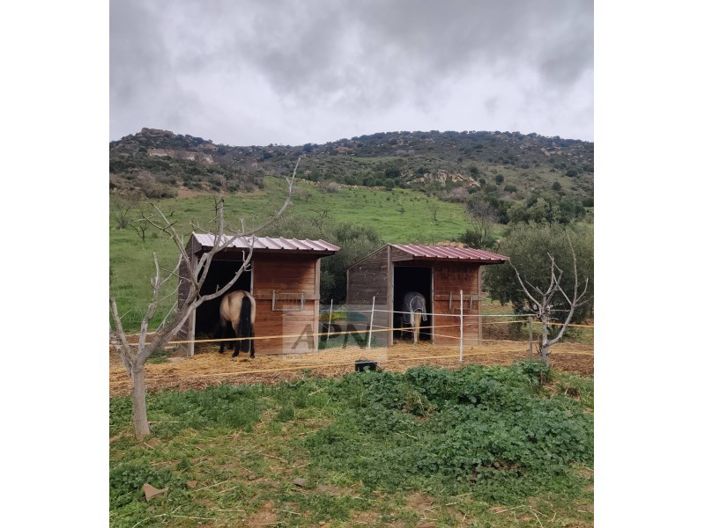 Image No.2-Maison de campagne de 2 chambres à vendre à Villanueva de la Concepción