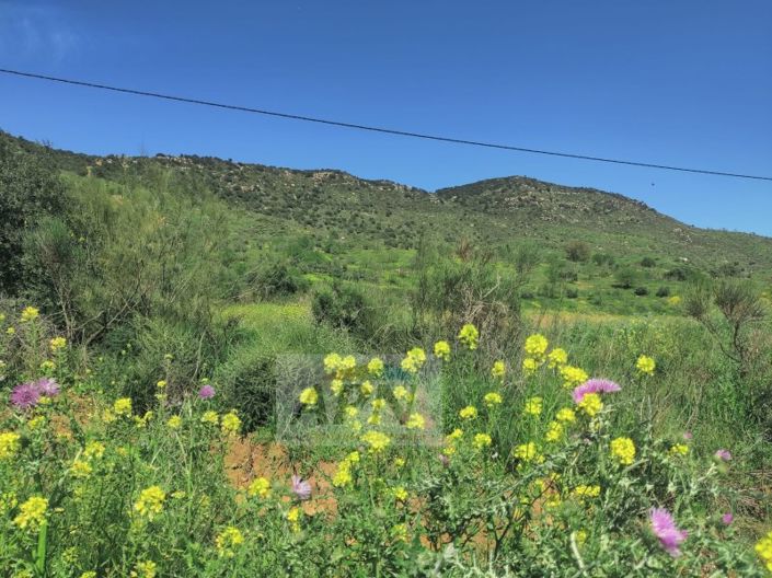 Image No.24-Maison de campagne de 2 chambres à vendre à Villanueva de la Concepción