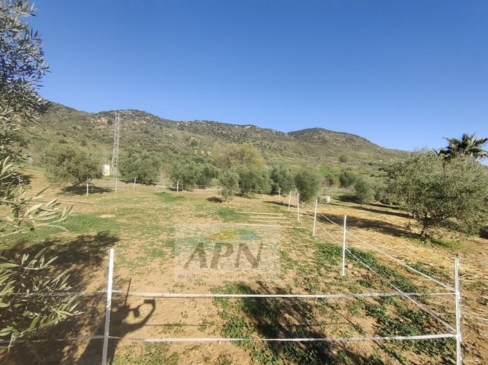 Image No.25-2 Bed Country House for sale