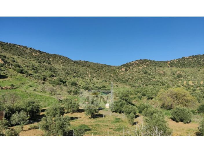 Image No.28-Maison de campagne de 2 chambres à vendre à Villanueva de la Concepción