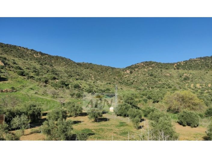 Image No.28-2 Bed Country House for sale