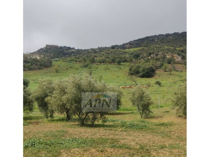 Image No.29-Maison de campagne de 2 chambres à vendre à Villanueva de la Concepción