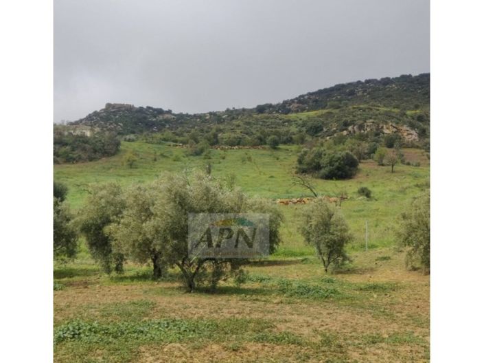 Image No.29-2 Bed Country House for sale