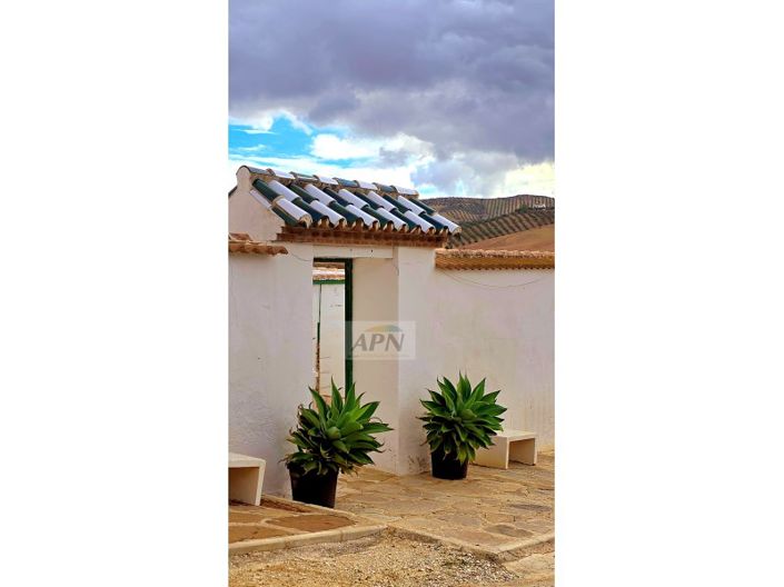 Image No.3-3 Bed Country House for sale