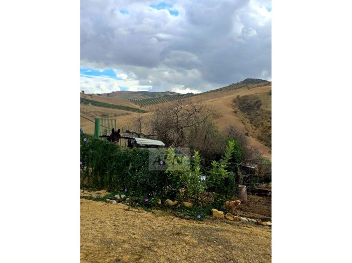 Image No.33-3 Bed Country House for sale