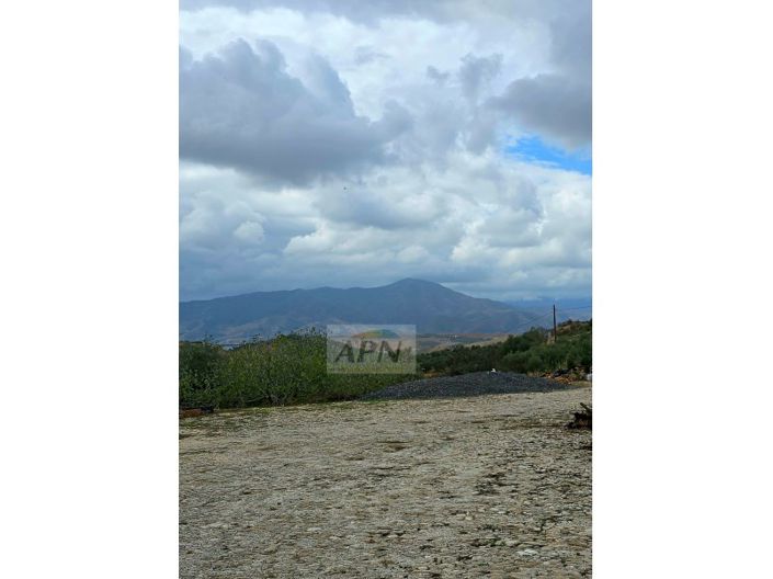 Image No.38-3 Bed Country House for sale