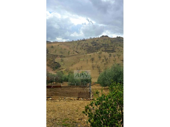 Image No.39-3 Bed Country House for sale