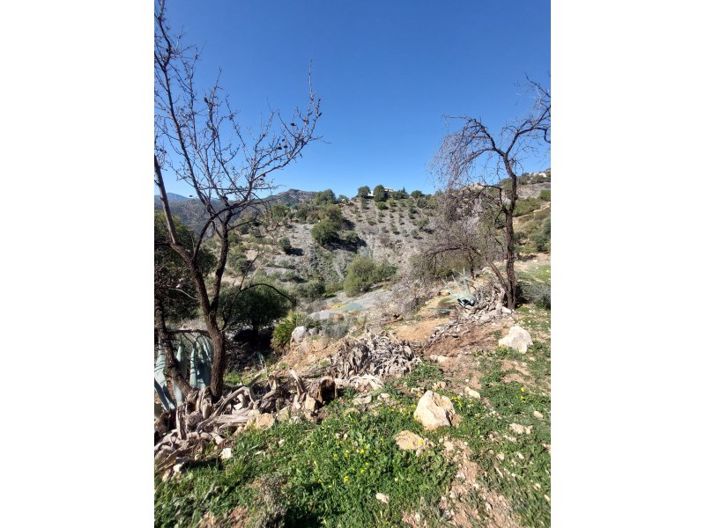 Image No.10-3 Bed Country House for sale