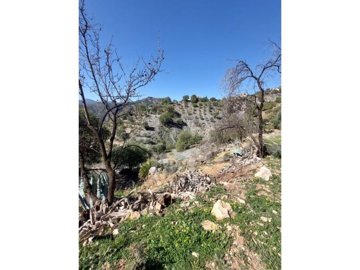 idbc967901-0000-0500-0000-000012bcffe3