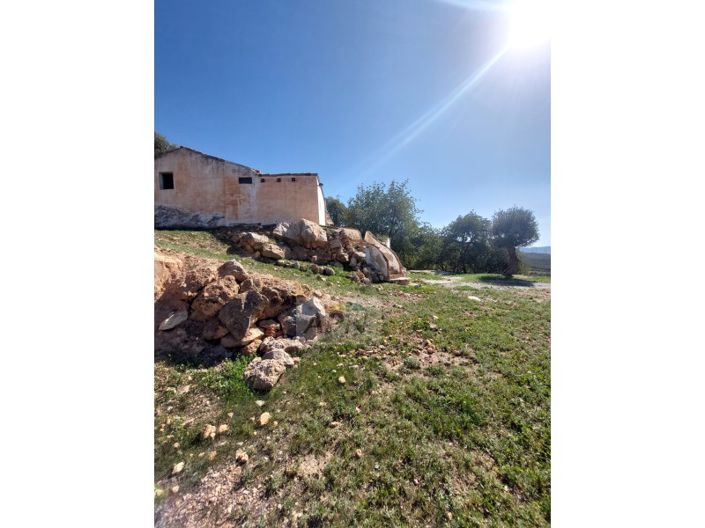 Image No.11-3 Bed Country House for sale