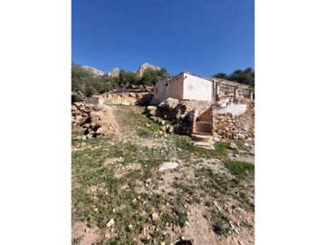 idbc967901-0000-0500-0000-000012bcffe6