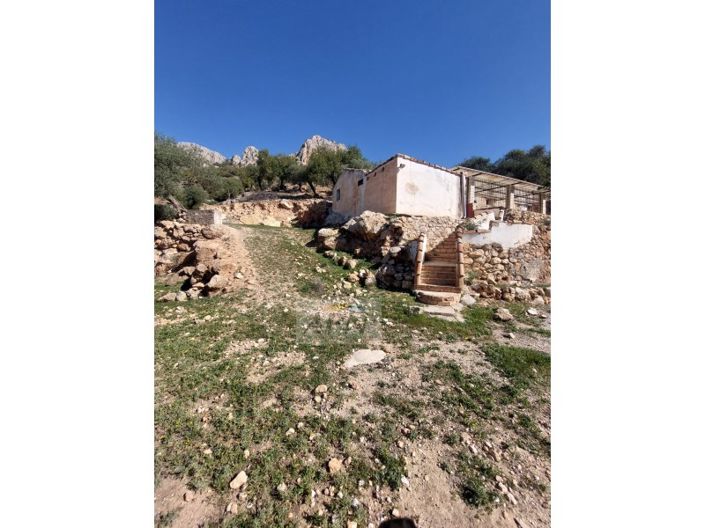 Image No.12-3 Bed Country House for sale