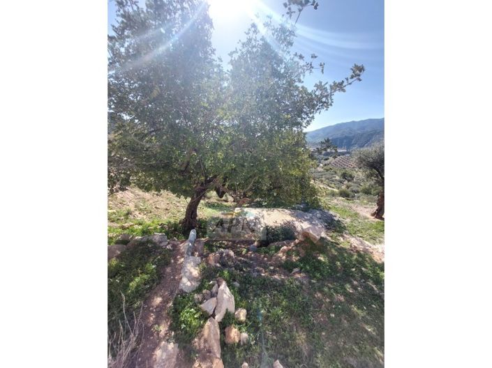 Image No.14-3 Bed Country House for sale