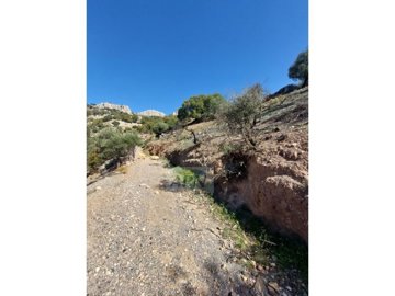 idbc967901-0000-0500-0000-000012bcffdb