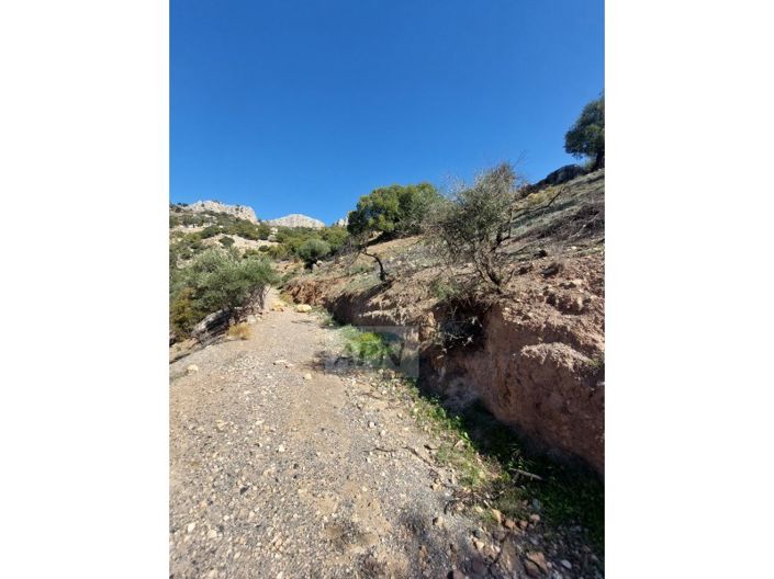 Image No.2-3 Bed Country House for sale