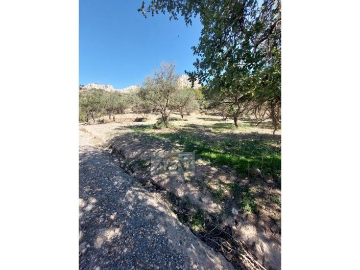 Image No.3-3 Bed Country House for sale