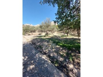 idbc967901-0000-0500-0000-000012bcffdc