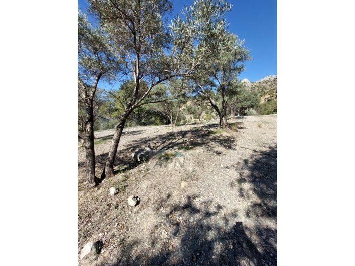 Image No.4-3 Bed Country House for sale