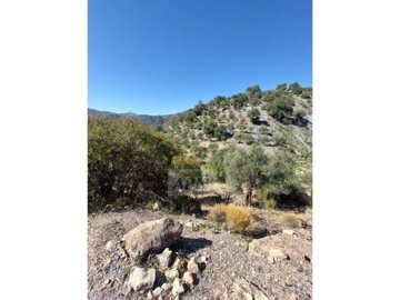 idbc967901-0000-0500-0000-000012bcffdf