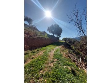 idbc967901-0000-0500-0000-000012bcffe1