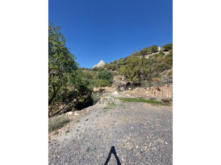 Image No.9-3 Bed Country House for sale