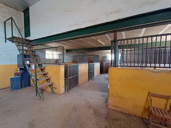 Image No.4-6 Bed Country House for sale