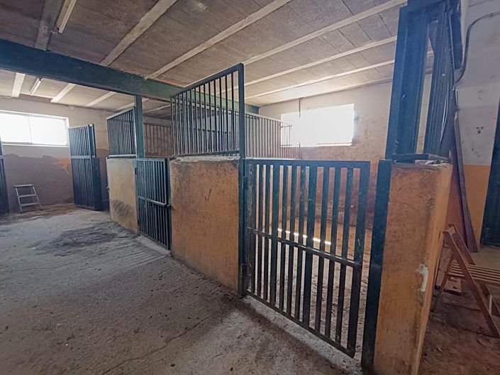 Image No.50-6 Bed Country House for sale