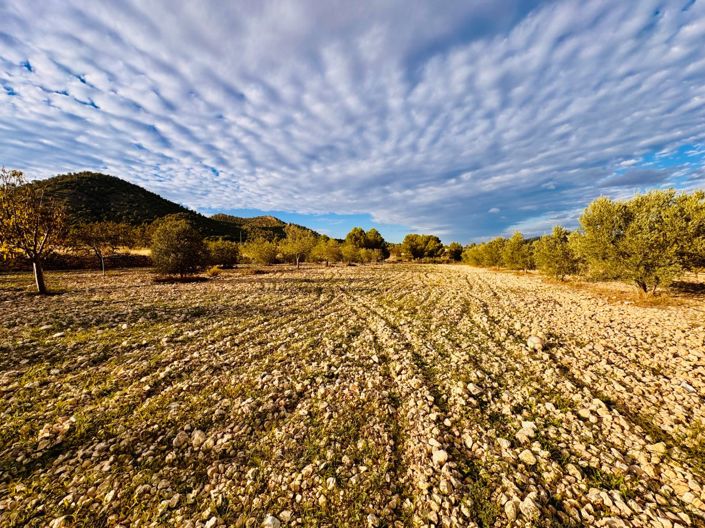 Image No.35-3 Bed Villa for sale