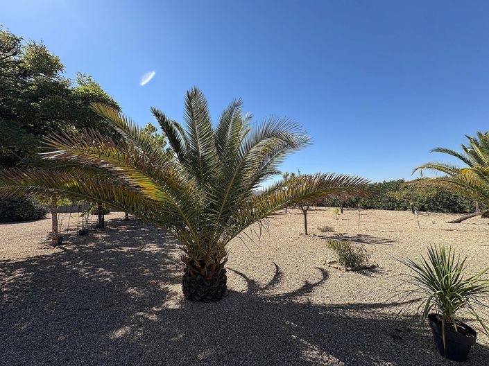 Image No.50-3 Bed Villa for sale