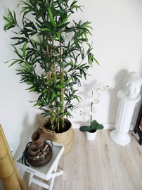 wngcq4gbm65dotj2pt6rs