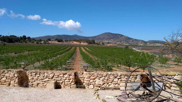 Image No.39-5 Bed Chalet for sale