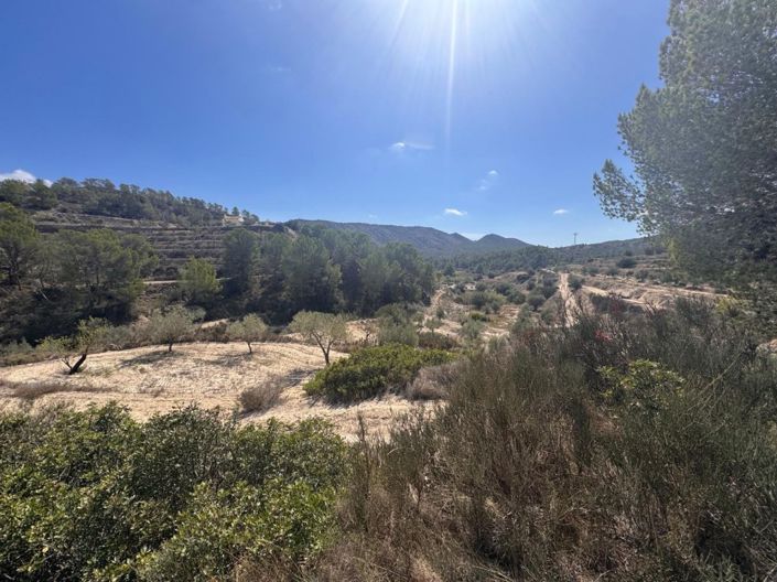 Image No.7-Country House for sale