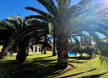 1-7980e48d732b6fc85c14b43b94d2aa54