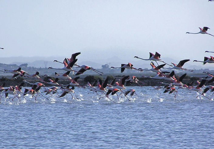 Image No.18-Appartement à vendre à Alicante