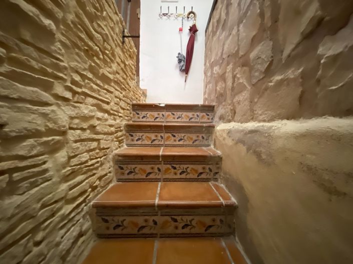 Image No.33-Finca de 4 chambres à vendre à Salinas