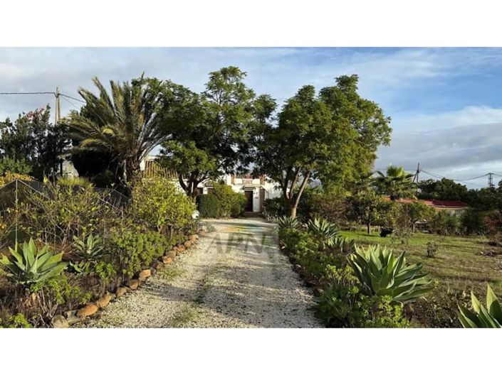 Image No.3-6 Bed Country House for sale